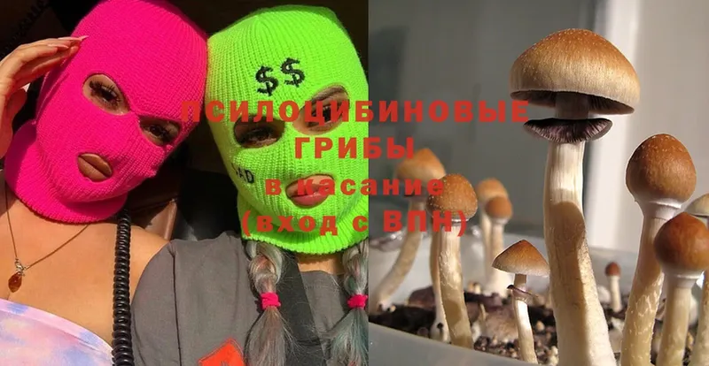 Псилоцибиновые грибы MAGIC MUSHROOMS  наркота  Анива 